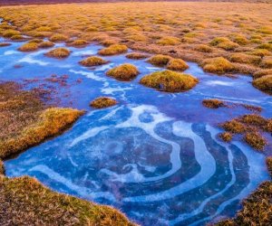 Island_Goldener_Kreis_Ausflug