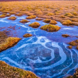 Island_Goldener_Kreis_Ausflug