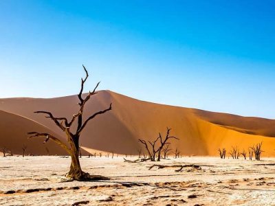 Namibia Dead Vlei in Sosusvlei