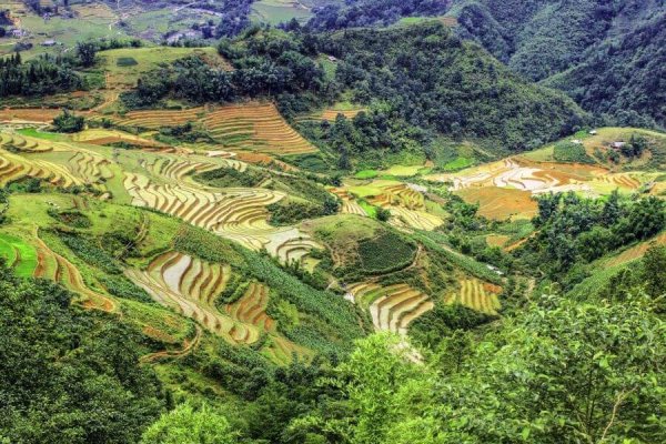 Vietnam_L-Sapa-Reisterrassen_reisenet_chamaeleon_reisen