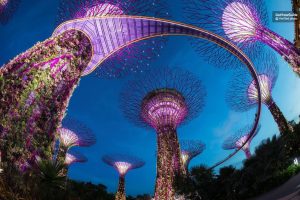 Singapore Gardens