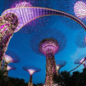 getyourguide singapore